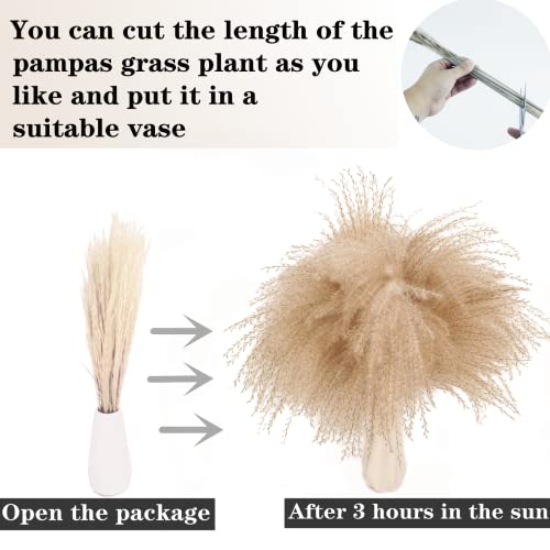 100 Stems Natural Dried Pampas Grass Decor - 17" Boho Floral Bouquet