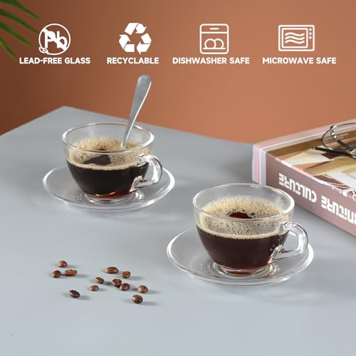 GURUDAR 7OZ/210ML Glass Teacup and Saucer Set with Stainless Steel Spoon - Variation 01