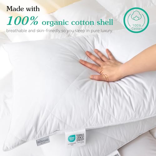 Medium Firm Queen/Standard Goose Feather Pillow - 600 Thread Count Cotton