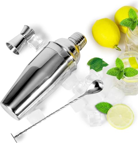 24oz Stainless Steel Cocktail Shaker Set with Built-in Strainer