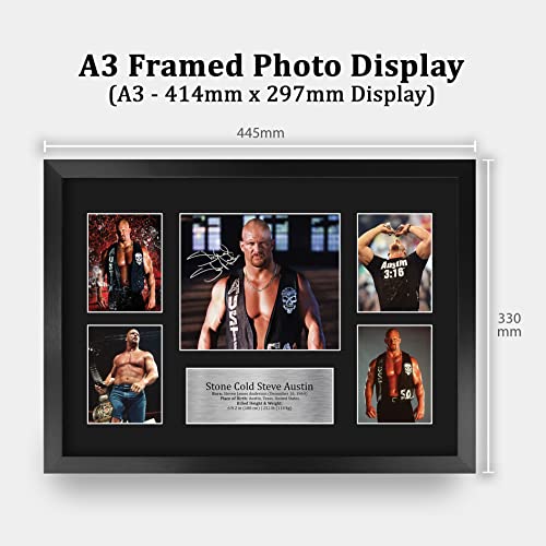 Stone Cold Steve Austin Wrestling Autograph 16x12 Inch Framed Photo - WWE Memorabilia Display - Variation: 16" x 12" Steve Austin