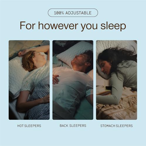 Coop Home Goods Eden Queen Adjustable Cooling Gel Memory Foam Pillow