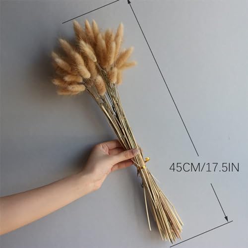120pcs Dried Bunny Tails Grass 17-Inch Natural Pampas Floral Arrangement