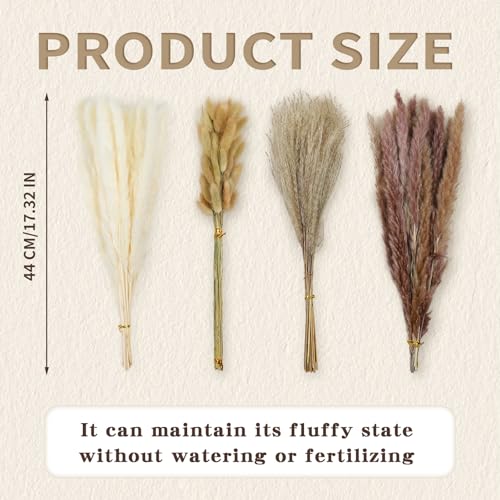 17-Inch Dried Pampas Grass Bouquet - 100pc Boho Floral Decor Set