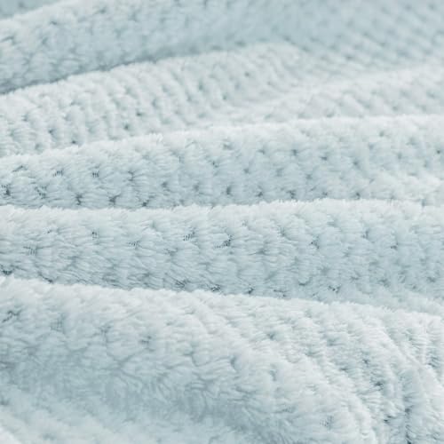 BEDELITE Ultra-Soft Fleece Travel Blanket 65"x40" with Bag & Luggage Sleeve