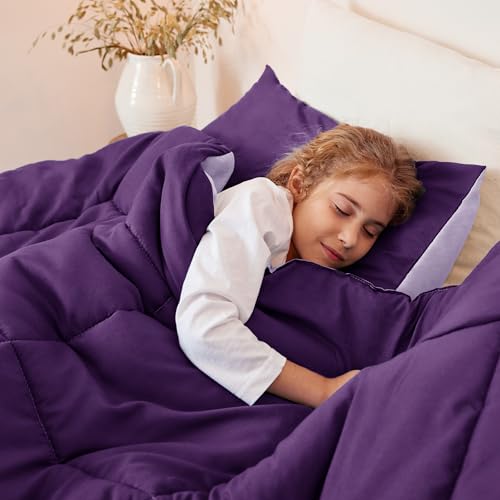 Reversible Queen Comforter Set, 3-Piece All-Season Down Alternative Bedding