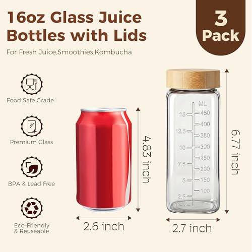 16 oz Square Glass Juice Bottles with Airtight Bamboo Lids - 3 Pack