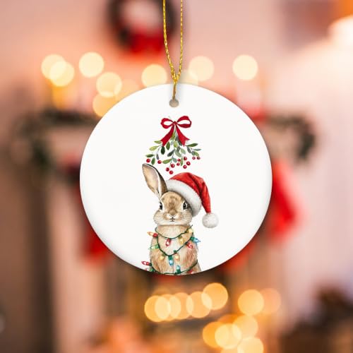 MIBEZE Santa Bunny Christmas Ceramic Ornament Gift - Variation 71