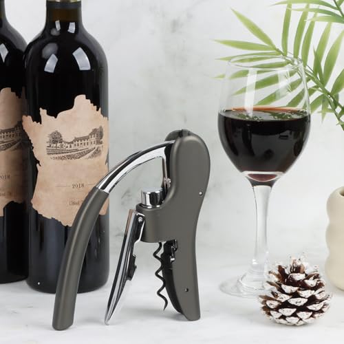 KAYCROWN Gray Stainless Steel Lever Wine Bottle Opener with Foil Cutter & Extra Spiral