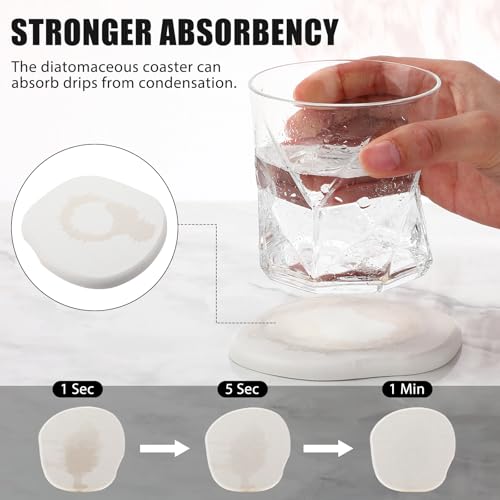 Diatomaceous Earth Drink Coasters Set of 4 - Quick-Dry Absorbent Stone Coasters