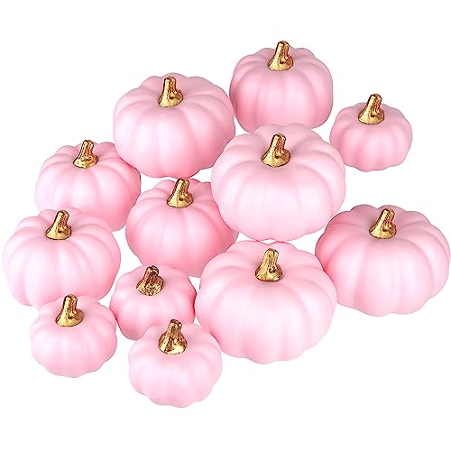 12-Piece Assorted Pink Artificial Pumpkins for Fall Autumn Decor