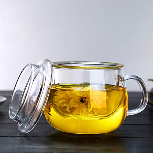 13oz Clear Glass Tea Infuser Cup with Filter Basket & Lid - Leakproof & Heat-Resistant
