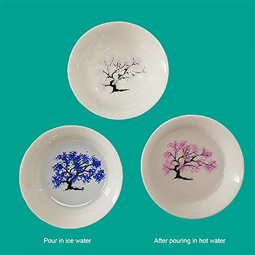 VALINK Color Changing Sakura Sake Cup - Hot & Cold Temperature Reactive Tea & Drinkware