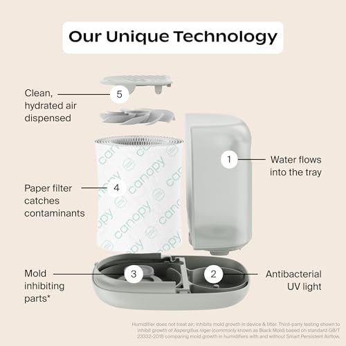 Bedside Humidifier 2.5L with Reading Light, White Noise & Aroma