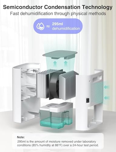 Small Dehumidifier for Bathroom and Bedroom with 30 oz Tank