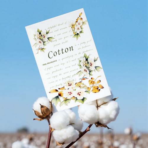 Scented Sachets for Drawers and Closets – Long-Lasting Air Freshener, 12 Pack