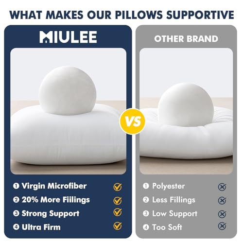 MIULEE 18x18 Throw Pillow Inserts 2 Pack, Fluffy Couch Pillow Forms