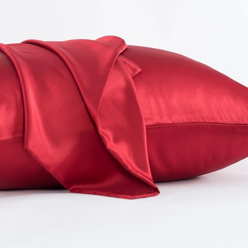 CloudDwelling 100% Mulberry Silk Pillowcase 22 Momme 6A Red 20x26 with Hidden Zipper