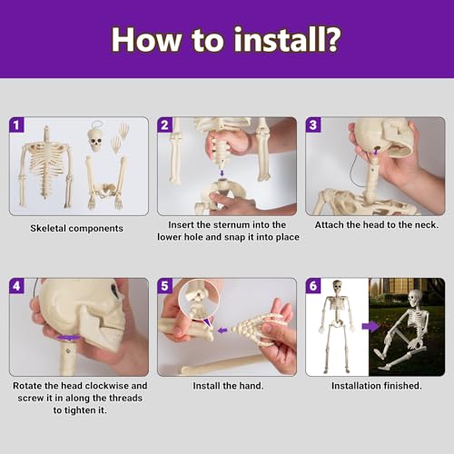 2-Pack Posable Halloween Skeletons with Movable Joints - 36.5"