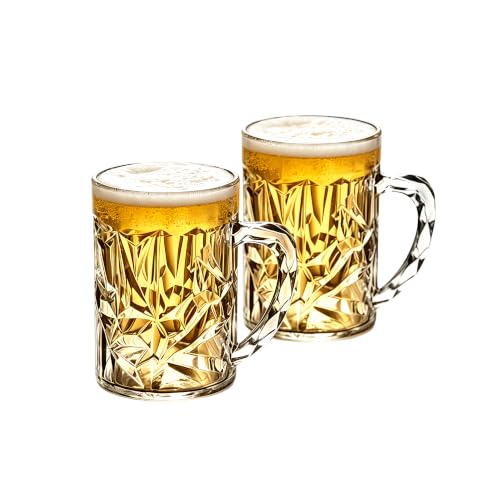 19oz Acrylic Beer Mugs with Handle - Durable Plastic Stein Set of 2