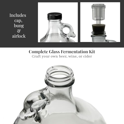 1 Gallon Glass Fermenting Jug with Air Lock and Rubber Stopper