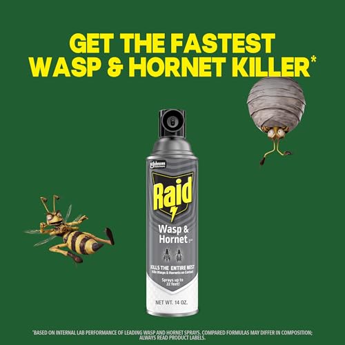 Raid Wasp & Hornet Killer Spray, Bug Kills the Entire Nest, 14 Oz, 2