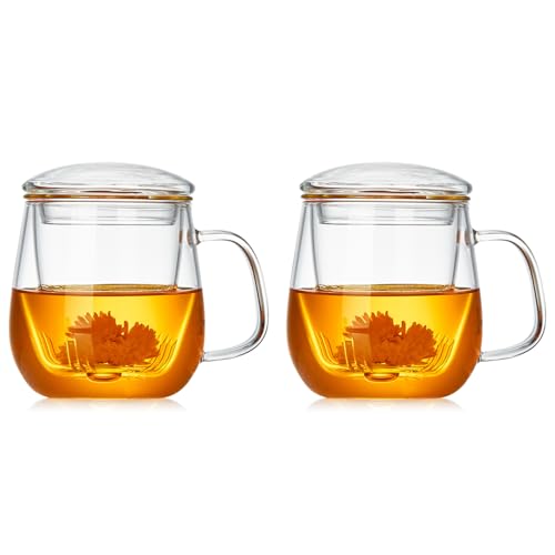 DOPUDO Glass Tea Cup with Infuser & Lid 17.6oz - Borosilicate Mug for Loose Leaf Tea, Microwave & Dishwasher Safe