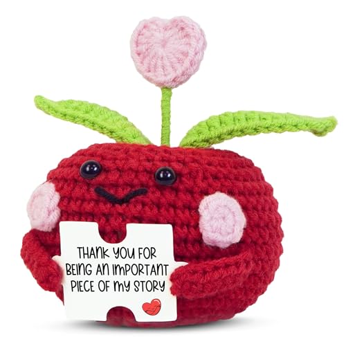 Handmade Crochet Apple Teacher Gift - Emotional Support Desk Decor