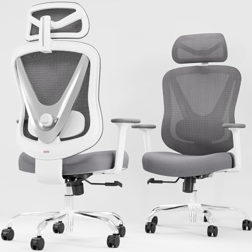 Ergonomic Mesh Office Chair with 3D Lumbar Support and Adjustable Armrests