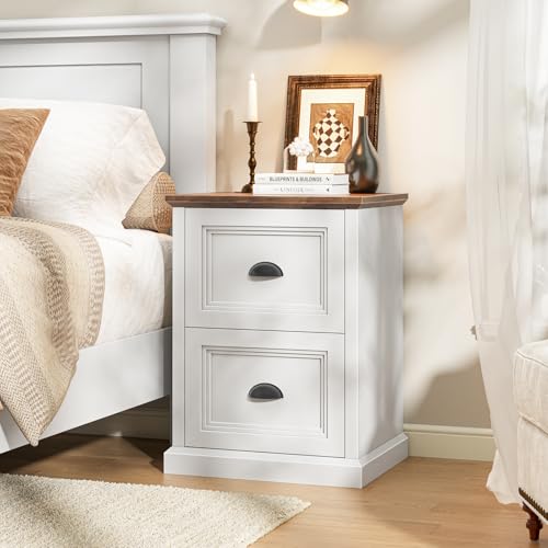 2-Drawer Farmhouse File Cabinet, White Wooden Under Desk Printer Stand