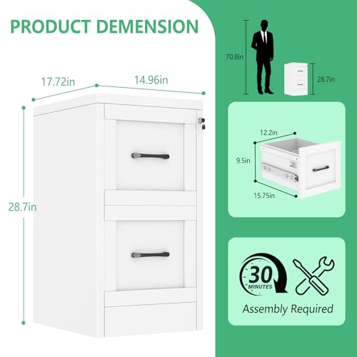 2-Drawer Vertical File Cabinet with Lock, White Steel Storage Organizer