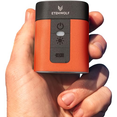 ETENWOLF AIR 3 Mini Electric Air Pump with 2600mAh Battery and Camping Light