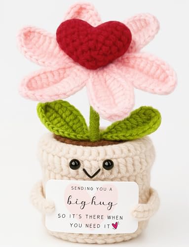 Handmade Crochet Heart Flower Plant Gift - Thinking of You Desk Decor