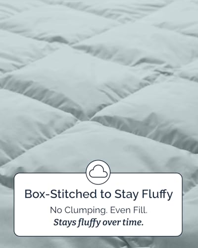 Reversible Twin Comforter - Navy Blue/Sky Blue, Soft & Cozy
