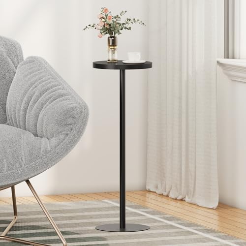 Tall Round Side Table, Small Metal Pedestal End Table for Living Room