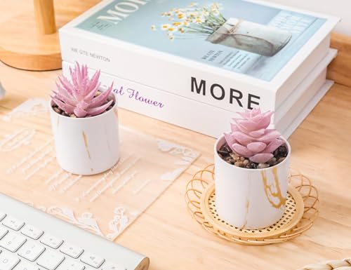 Mini Artificial Succulents 2-Pack - Pink Fake Potted Plants for Desk