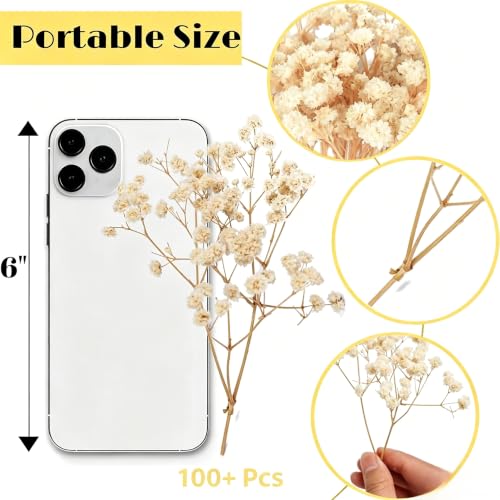 100+ Mini Dried Baby's Breath Flowers, 6-Inch Natural Gypsophila Stems