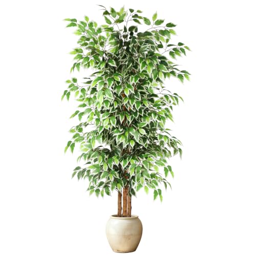 6FT Artificial Ficus Tree with Natural Wood Trunk - Faux Indoor Plant