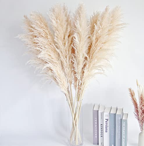 46-Inch Natural Dried Pampas Grass Decor - 10 Stems Fluffy Boho Bouquet