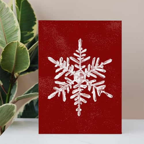 BIWSHA Snowflake Christmas Canvas Wall Art - 11x14 Inches, Red Decor