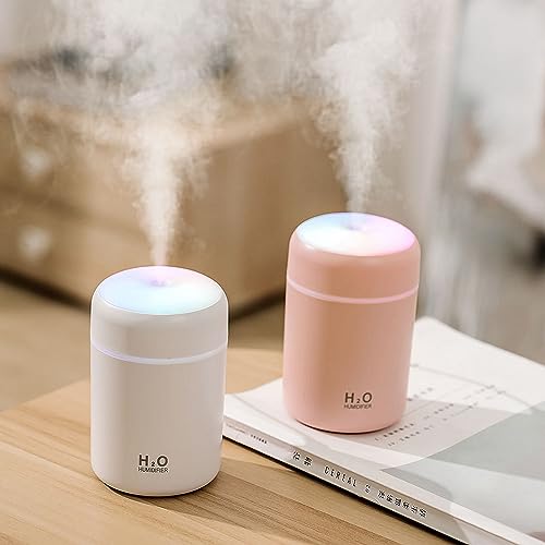 Portable Mini Humidifier USB Cool Mist 300ml White