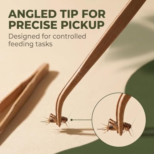 Mozff 2-Pack Wooden Reptile Feeding Tongs - 28cm Eco-Friendly Angled Tweezers for Reptiles & Amphibians