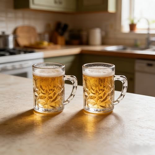 19oz Acrylic Beer Mugs with Handle - Durable Plastic Stein Set of 2