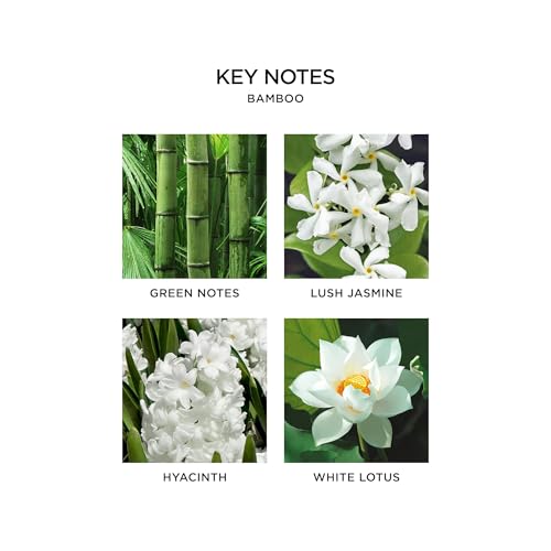Bamboo Smart Home Fragrance Diffuser Refill Vials - 2 Pack