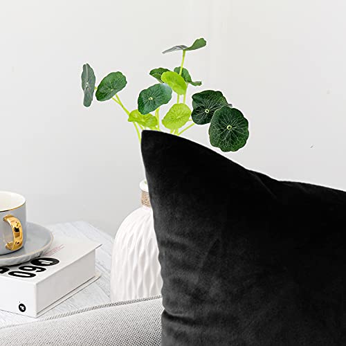 Black Velvet Throw Pillow Covers 18x18 (Set of 2) - Soft Cushion Cases