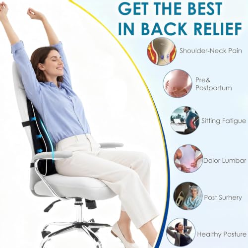Ergonomic Lumbar Support Pillow for Office Chair & Car