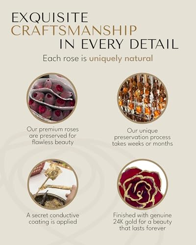 Forever Rose Hand-Dipped in 24K Gold - July Ruby Birthstone Gift