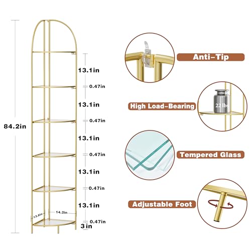 6-Tier Foldable Corner Shelf, Metal Gold Frame Standing Display Rack