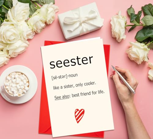 Seester Definition Card for Sister Gifts - Funny Sister Birthday & Christmas Card S2