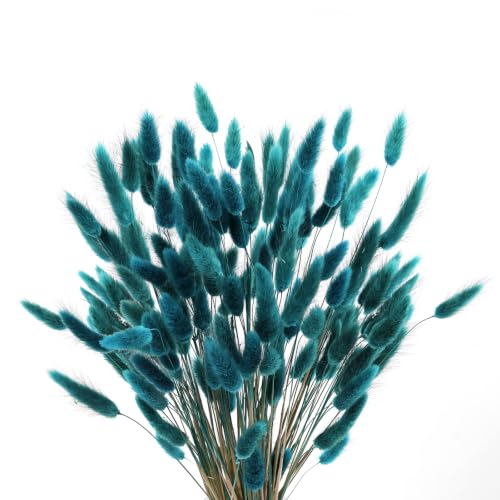 HSTEY 120pcs Bunny Tails Dried Pampas Grass Bouquet - Teal, 17 Inch